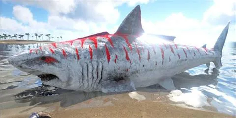 《方舟：生存进化》巨齿鲨怎么驯服，巨齿鲨属性介绍