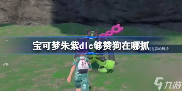 宝可梦朱紫dlc够赞狗在哪抓 宝可梦朱紫DLC够赞狗位置