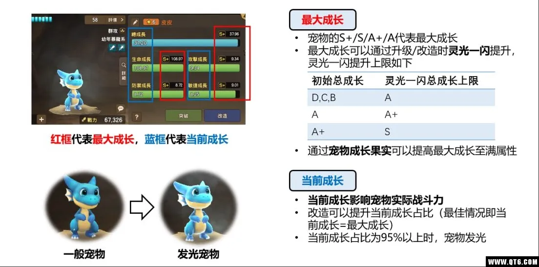 石器时代宠物要中玩怎么养？宠物养成