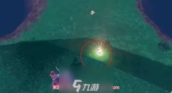 宝可梦朱紫强力精灵排行 四只必捕强力精灵位置一览