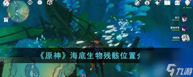 原神海底生物残骸位置在哪里-海底生物残骸位置一览