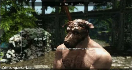 上古卷轴5mod违反大自然 汪星人喵星人逆袭