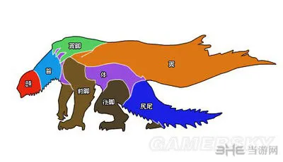 怪物猎人X怪物弱点一览 全怪物弱点