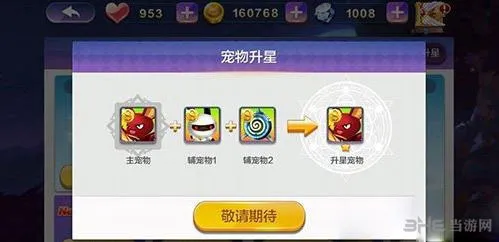 天天风之旅宠物升星有什么用 宠物升星玩法攻略