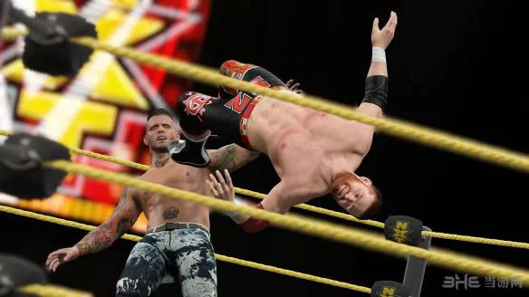 WWE2K15边绳飞空技怎么使用 边绳飞空技使用方法攻略