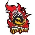NaJin e-mFire(gonglue1.com)