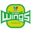 Jin Air Greenwings(gonglue1.com)