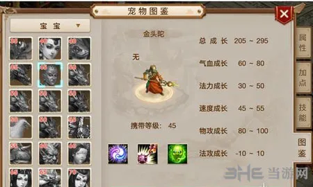 问道金头陀怎么获得 金头陀图鉴解析攻略