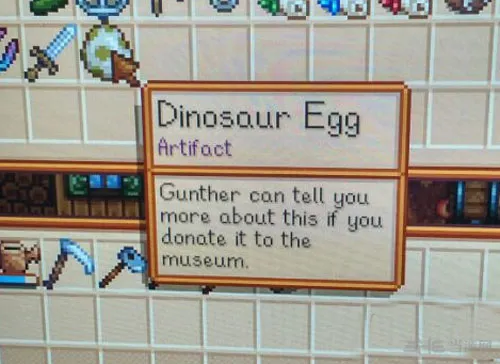 星露谷物语恐龙蛋怎么孵化 恐龙蛋孵化方法解析