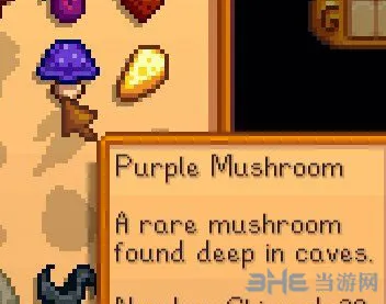 星露谷物语怎么刷蘑菇 刷蘑菇方法