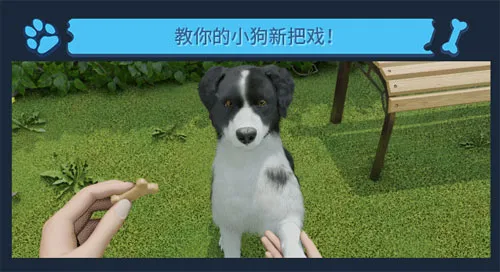 《Dog Trainer》官方介绍(gonglue1.com)
