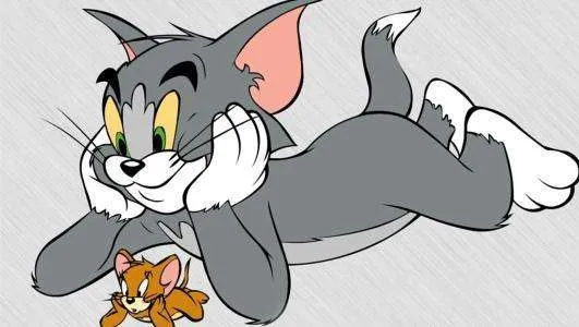猫和老鼠猫皇最强知识卡搭配攻略 知识卡选择及使用心得