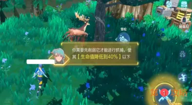 我的起源宠物怎么捕捉 我的起源捕捉宠物攻略
