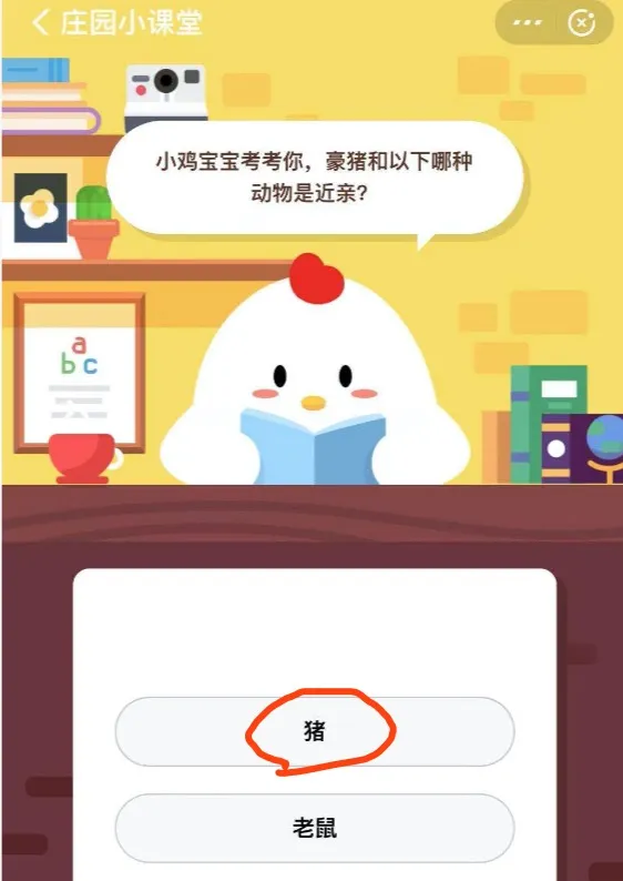 蚂蚁庄园11月17日小课堂今日答案 豪猪和以下哪种动物是近亲