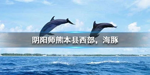 熊本县西部海豚线索是什么 阴阳师