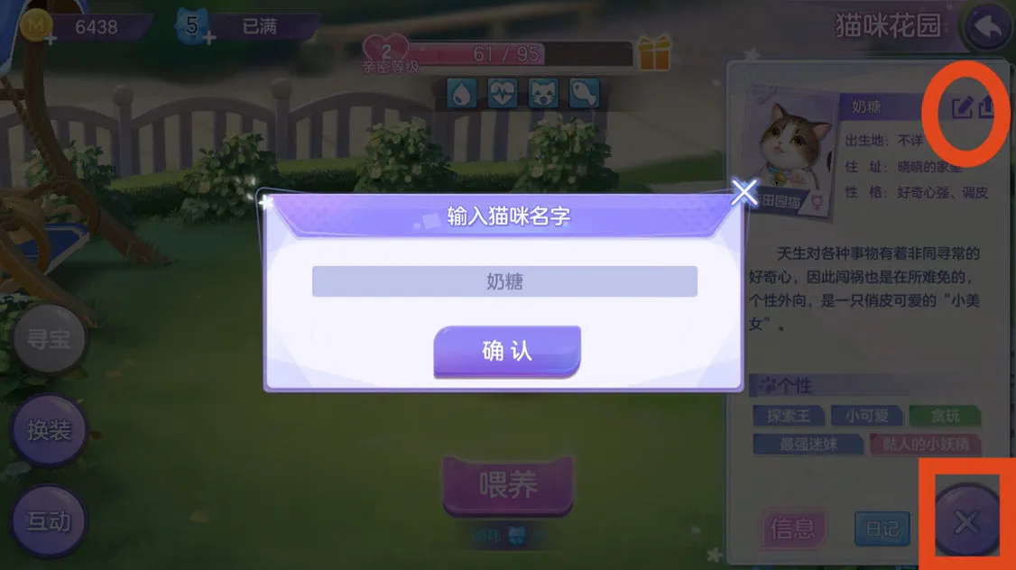 喵与筑猫咪怎么改名字 喵与筑猫咪改名字方法