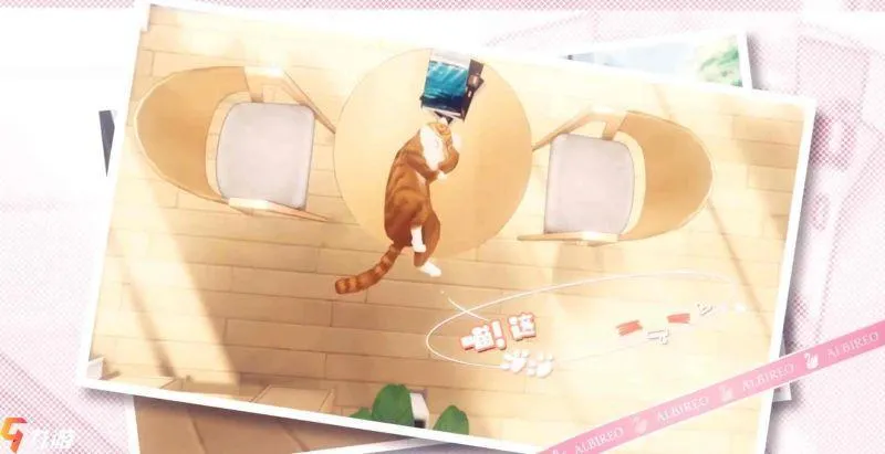 梦间集天鹅座猫猫玩法大全 怎么吸引猫咪
