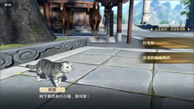 天涯明月刀手游猫之友攻略大全 猫之友奇遇触发条件及位置一览