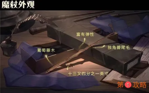 哈利波特魔法觉醒魔杖对应法师大全 魔杖到底有什么用