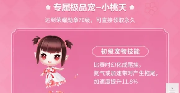 QQ飞车手游小桃夭属性是什么 小桃