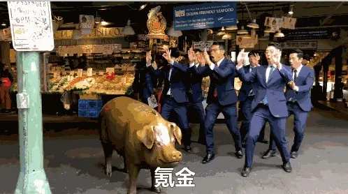 公主连结为什么叫母猪连结 母猪连结释义